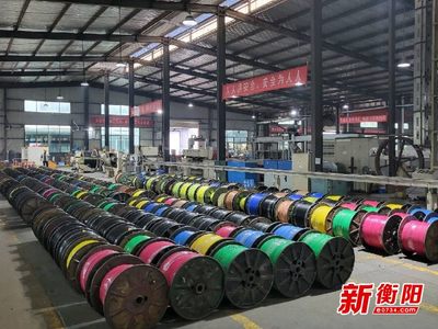 大國(guó)重器中的“衡陽(yáng)制造”①|(zhì)恒飛電纜:“上天入海”彰顯制造實(shí)力