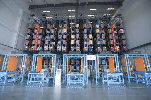 炒貨之都 合肥孕育這家瓜子企業(yè),用數(shù)字化控供應鏈 合肥新質觀⑧.視頻