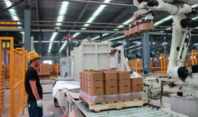 瞭望丨“世界鎂都”治亂記